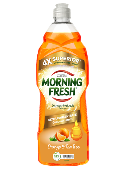 Morning Fresh Dishwasher 750ml